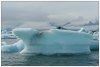 6/islande skatfatell iceberg 54 (Small).jpg